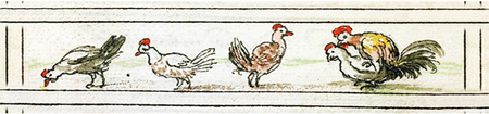 Zvm Poules