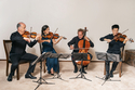 Takács Quartet, Tanglewood Music Festival